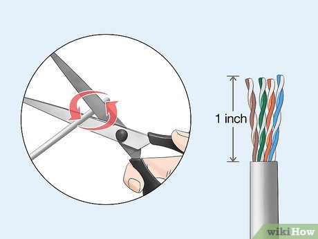 How to Crimp Rj45 Picture 8