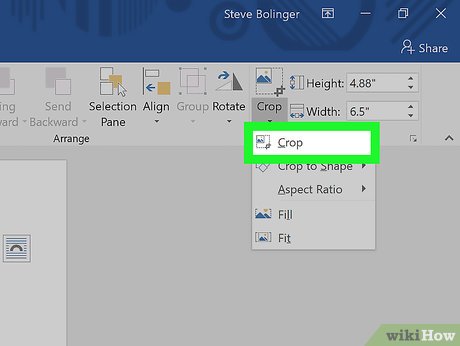 images 4 of How to Crop a Picture in Word