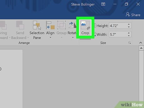 images 6 of How to Crop a Picture in Word