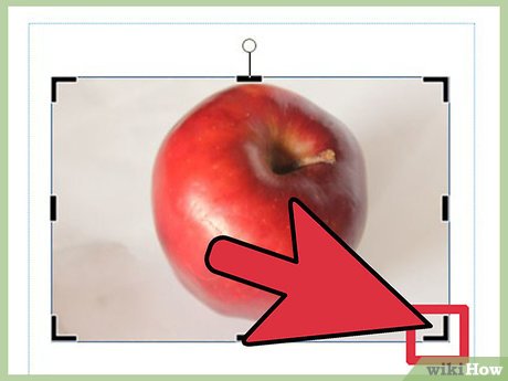 How to Crop Graphics in Microsoft Publisher Picture 3