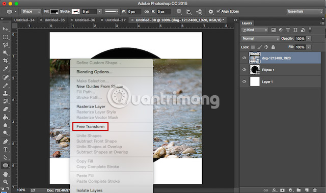 How to crop photos in Photoshop Picture 10