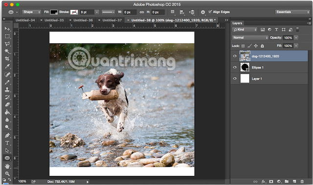 How to crop photos in Photoshop Picture 11