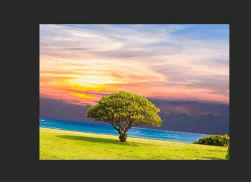 How to crop photos in Photoshop Picture 3