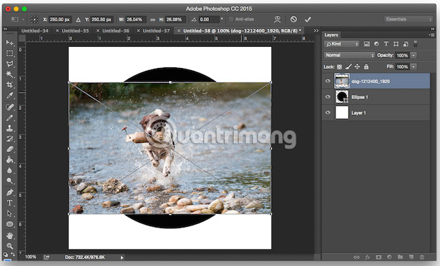 How to crop photos in Photoshop Picture 9