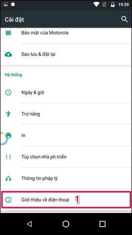 How to customize DPI on Android phones Picture 4