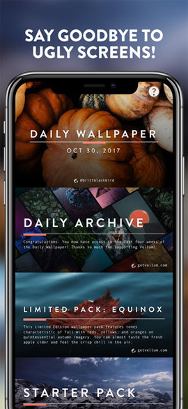 How to customize the iPhone Home screen Picture 2