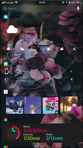 How to customize the iPhone widget interface Picture 5
