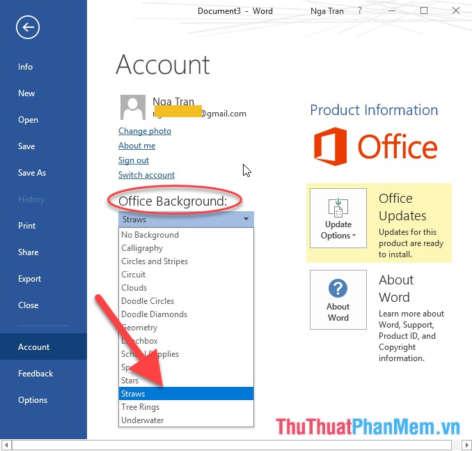 How to customize the look and feel in Office 2016 Picture 7