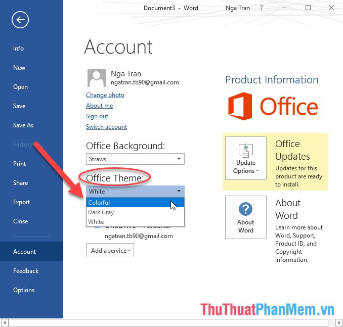 How to customize the look and feel in Office 2016 Picture 8