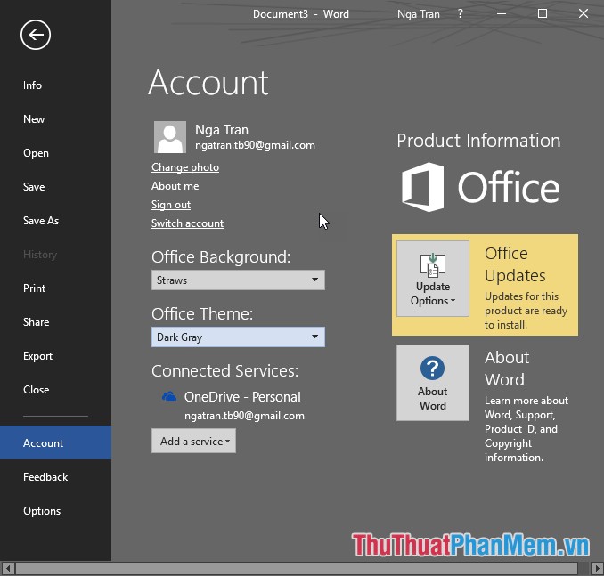 How to customize the look and feel in Office 2016 Picture 9