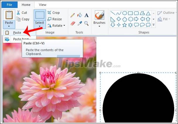 Picture 10 of How to cut a circle image on Paint