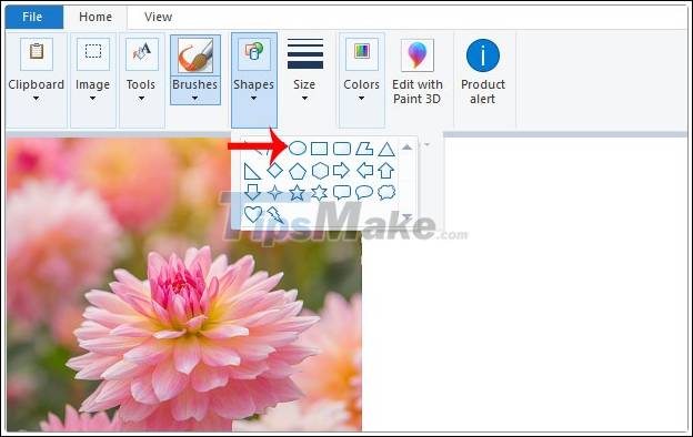 Picture 3 of How to cut a circle image on Paint