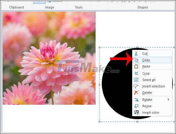 Picture 8 of How to cut a circle image on Paint