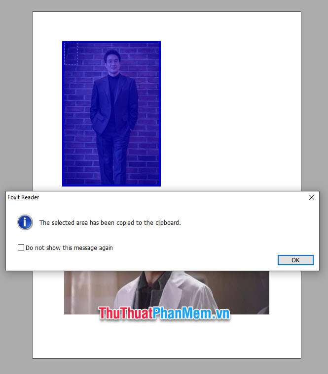 How to cut photos from PDF to Word Picture 16