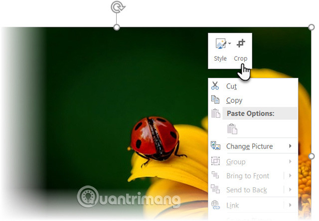 How to cut photos using Microsoft PowerPoint Picture 1
