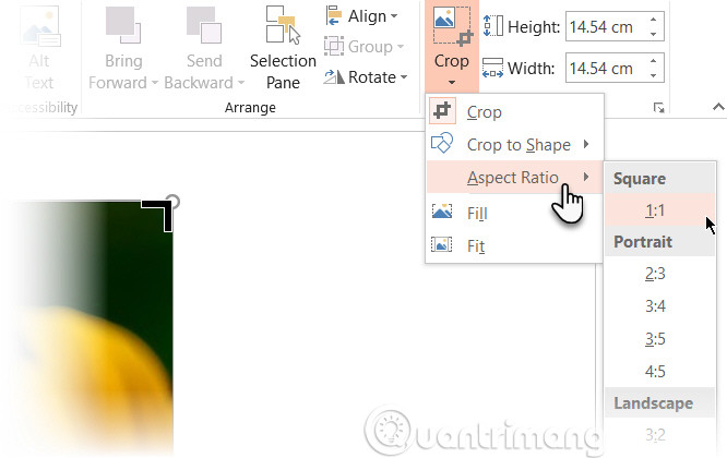 How to cut photos using Microsoft PowerPoint Picture 3