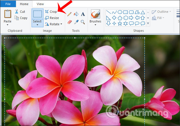 How to cut the image with Paint Picture 3