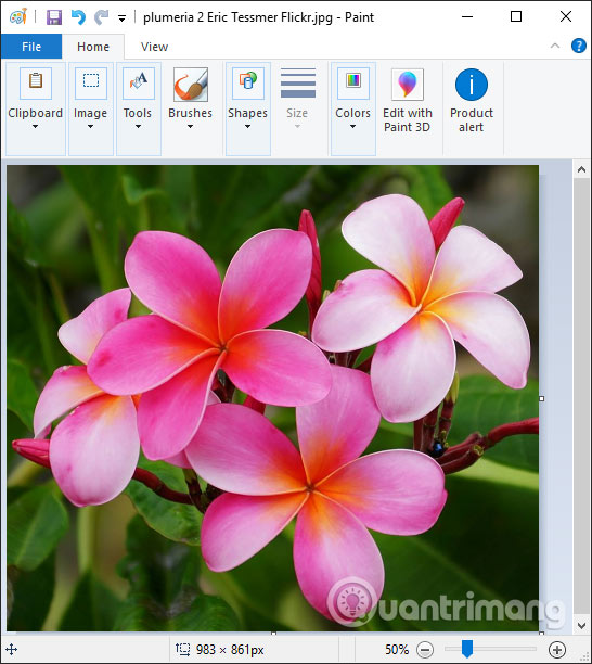How to cut the image with Paint Picture 4