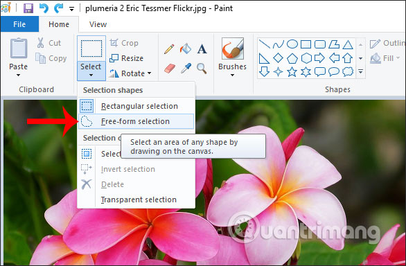 How to cut the image with Paint Picture 5