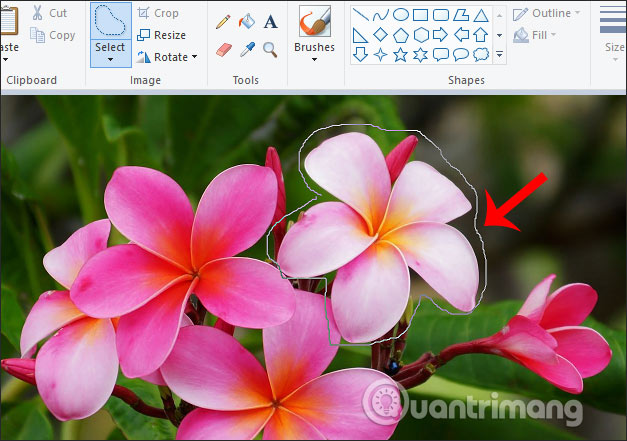 How to cut the image with Paint Picture 6