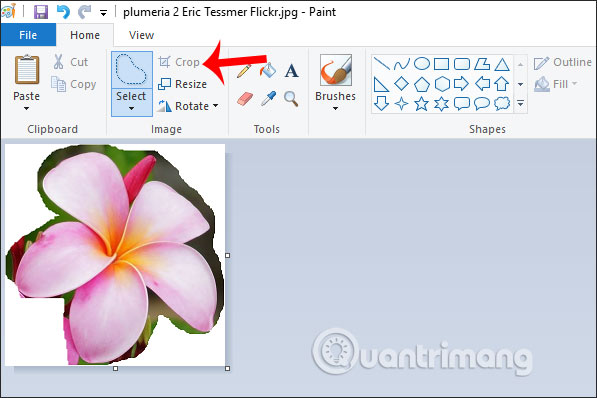 How to cut the image with Paint Picture 7