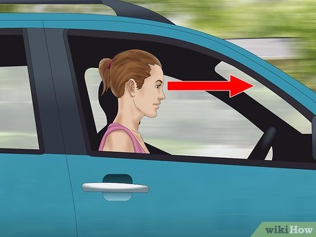 How to Deal With Motion Sickness on Rides Picture 8