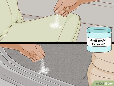 How to Dehumidify a Car Picture 12