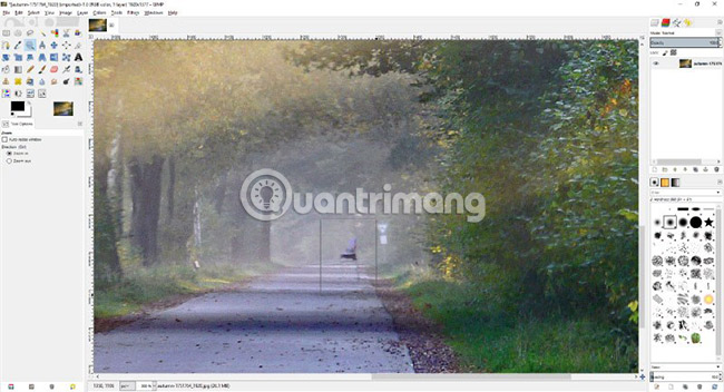 How to delete any details in the image with GIMP Picture 10