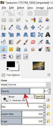 How to delete any details in the image with GIMP Picture 9
