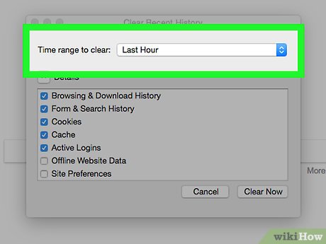How to Delete Cookies on a Mac Picture 21