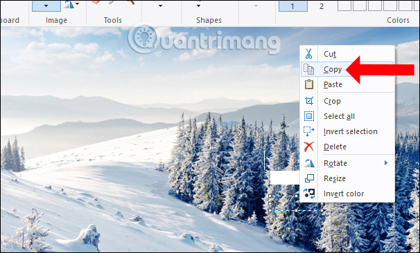 Picture 12 of How to delete text in photos with Paint