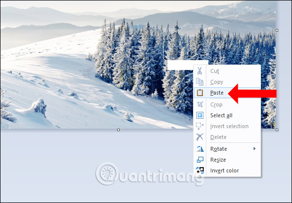 Picture 13 of How to delete text in photos with Paint