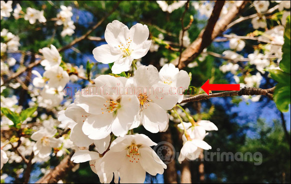 How to delete text on photos in Photoshop Picture 12