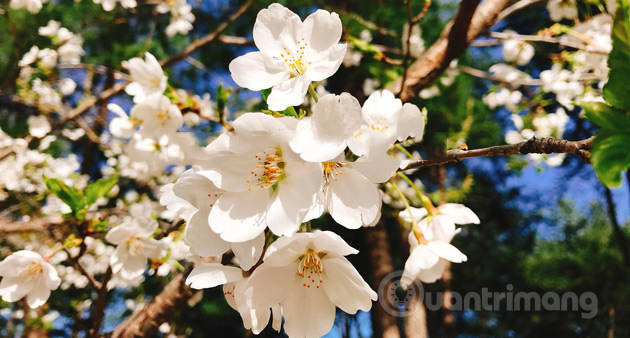 How to delete text on photos in Photoshop Picture 14