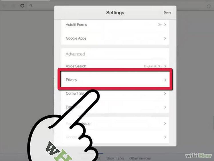 How to delete Web browser history on iPad? Picture 8