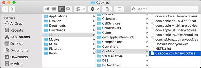 How to delete Zoom on the computer Picture 11