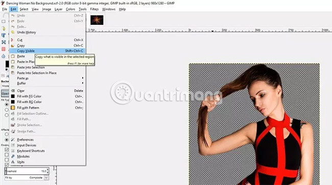 How to design professional leaflets with GIMP Picture 16