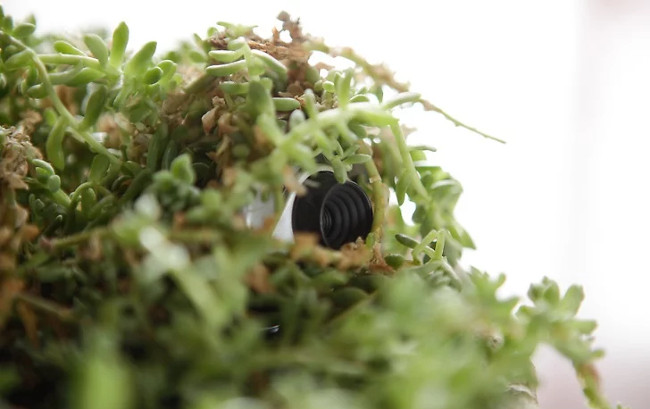 How to detect hidden cameras and devices that simply sneak in the room Picture 3