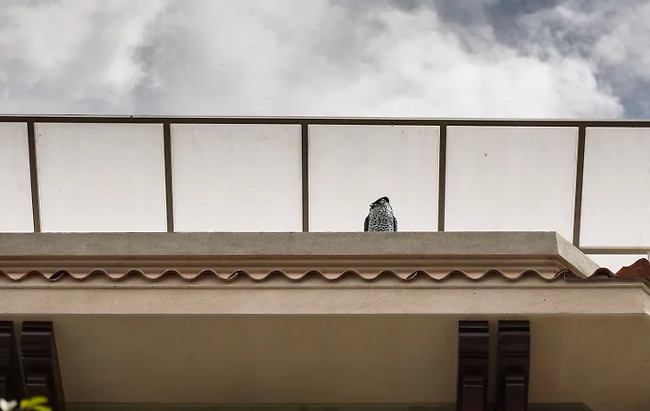 How to detect hidden cameras and devices that simply sneak in the room Picture 7