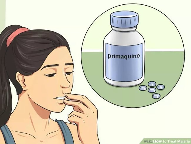 How to diagnose, treat and prevent malaria Picture 12