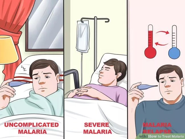 How to diagnose, treat and prevent malaria Picture 3
