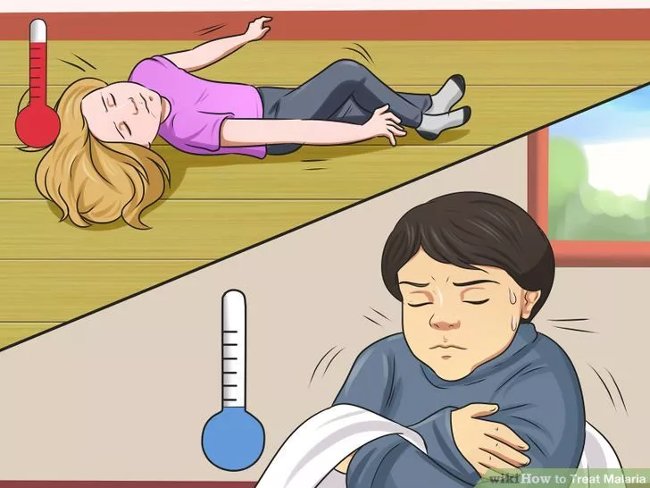 How to diagnose, treat and prevent malaria Picture 4