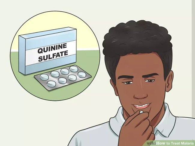How to diagnose, treat and prevent malaria Picture 9