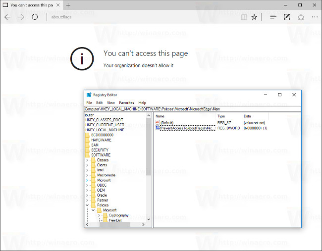 How to disable the about: flags page on Edge browser Picture 5