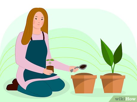 How to Discover Your Talents Picture 17