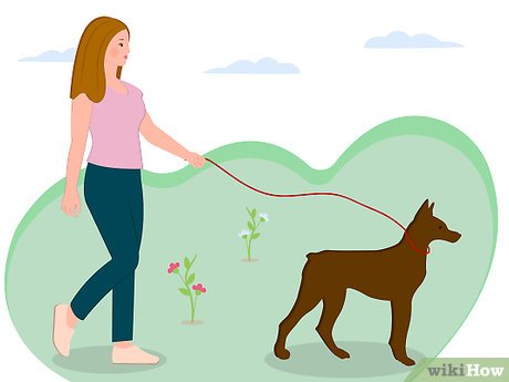 How to Discover Your Talents Picture 9