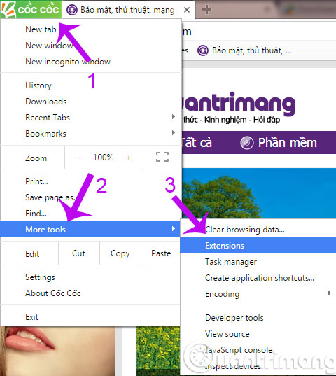How to display Download button on Coc Coc? Picture 1