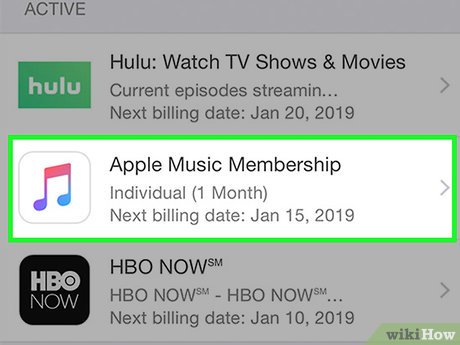 How to Dispute iTunes Charges Picture 13
