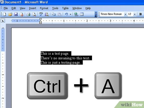 how to double space on microsoft word 2003