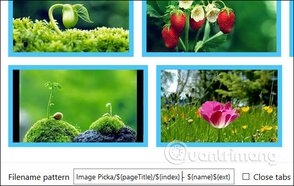 How to download multiple photos at once on Firefox Picture 8